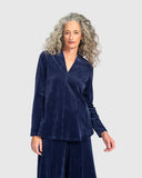 Navy Velvet Top