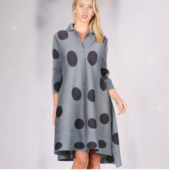 Gray Dot Button Front Dress